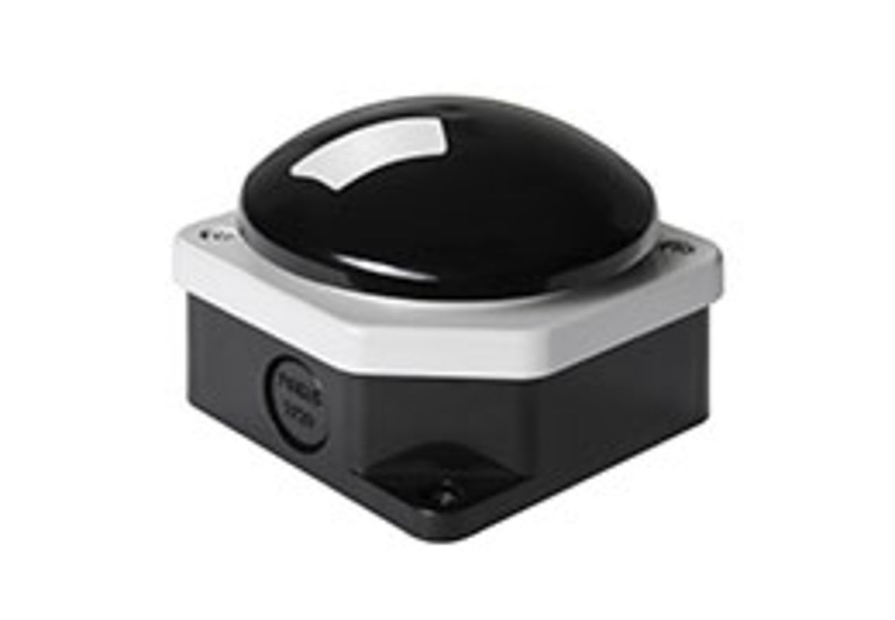 Pilztaster Pilztaster